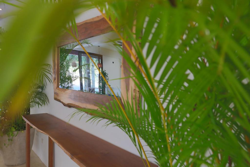 Zahrada ubytování Hotel Blanco Tulum Adults Only