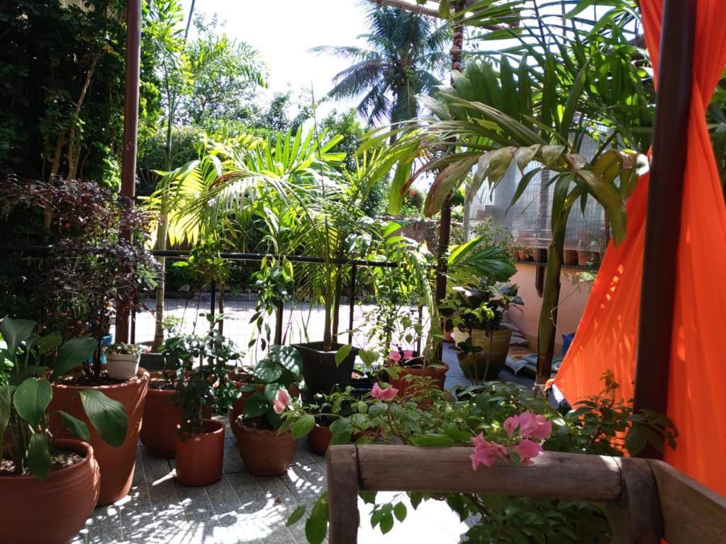  Recanto Toca das Plantas de Ilhabela