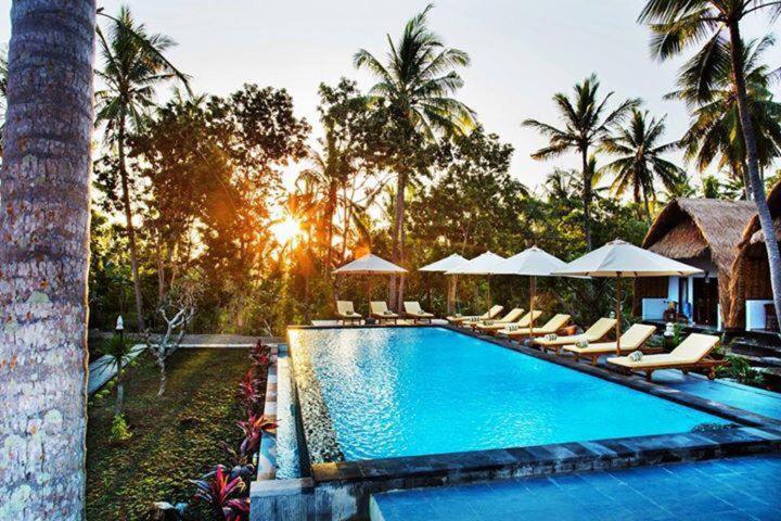 een zwembad van het resort met ligstoelen en palmbomen bij Bintang Hostel and Homestay in Nusa Penida
