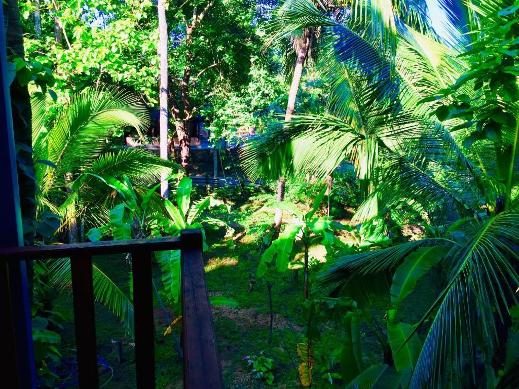Zahrada ubytování Sigiri Rainbow Lodge