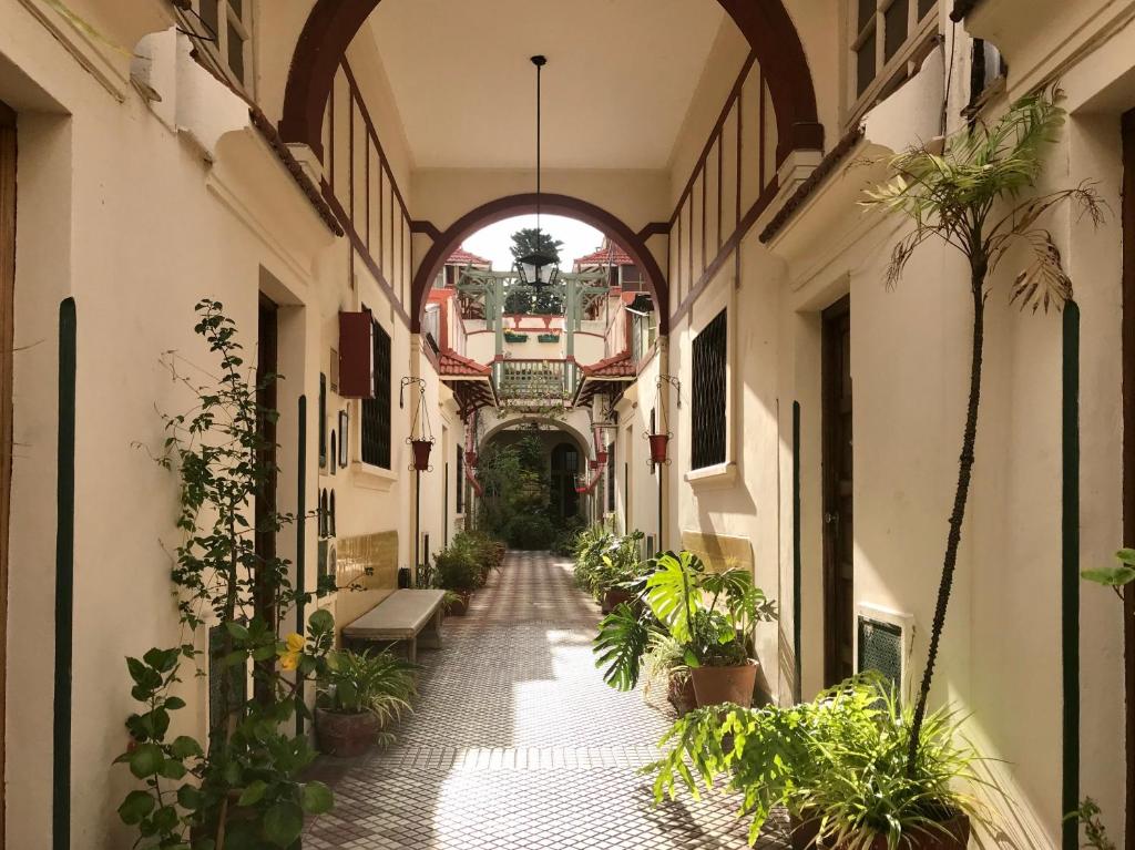 an alleyway in a building with potted plants at San Telmo Vivo in Buenos Aires