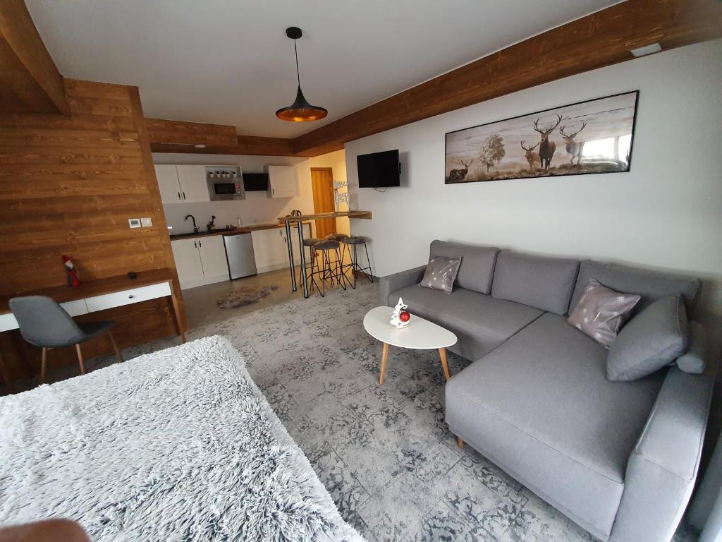 a living room with a couch and a table at Apartamenty Pod Tatrzańskim Niebem in Zakopane