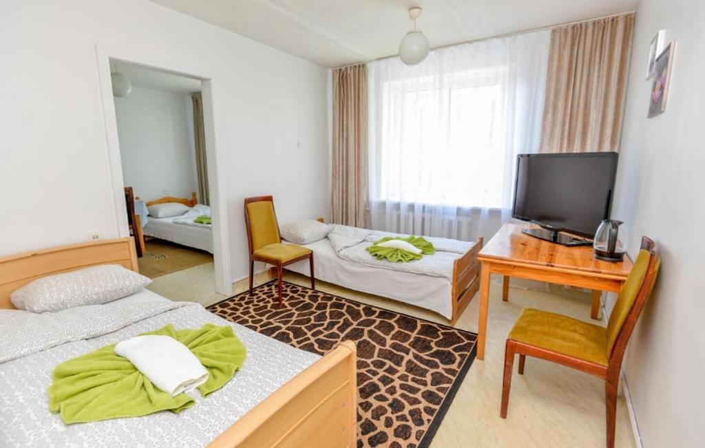 Guest House Simona - Chambre Quadruple Économique