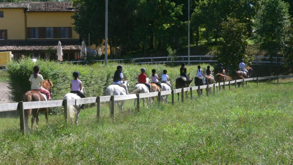 Zwierzęta w gospodarstwie agroturystycznym lub w pobliżu