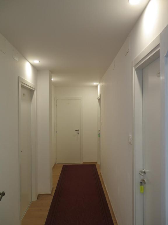 Fotografie z fotogalerie ubytování AnconaBed v Anconě