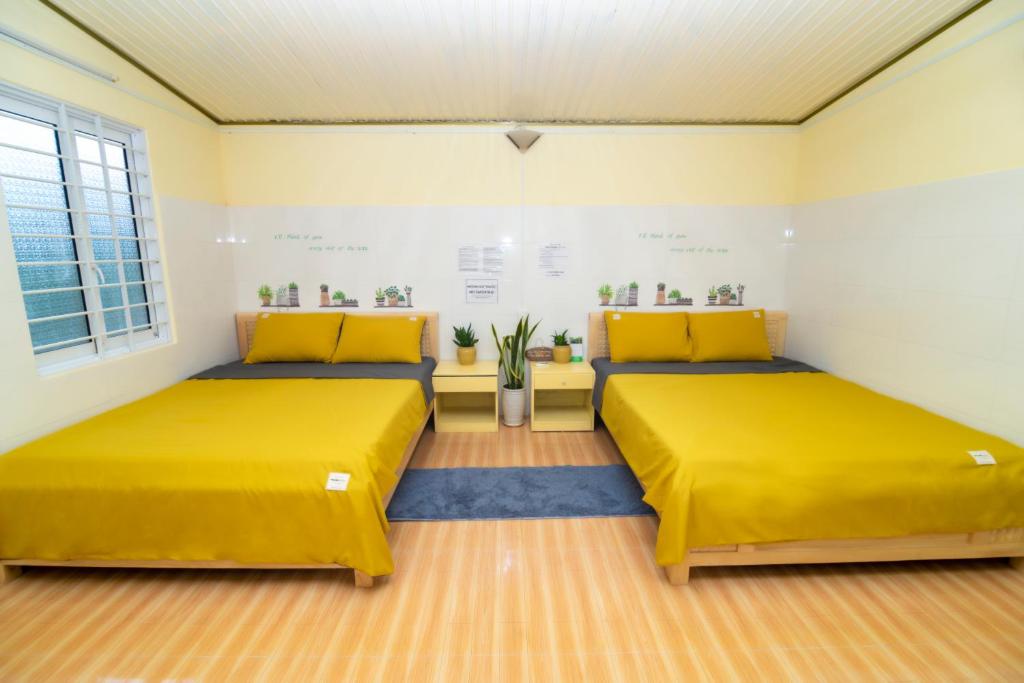 2 camas en una habitación con camas amarillas en Pun corner homestay, en Con Dao
