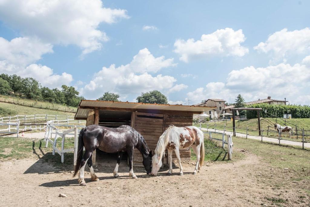 Agriturismo Goccia di Luna
