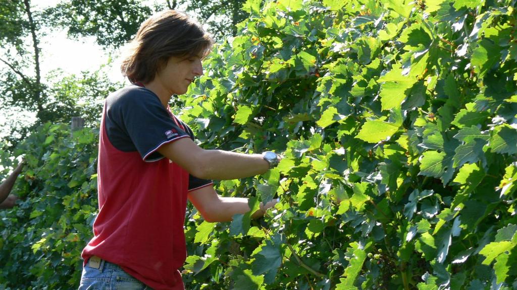 Goście zatrzymujący się w obiekcie Tenuta Le Sorgive Agriturismo