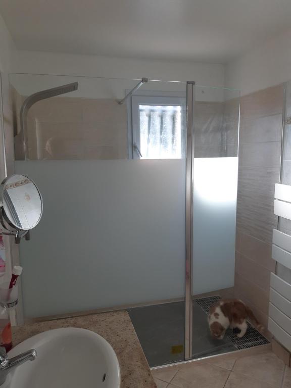a bathroom with a shower with a dog laying on the floor at Veronique in Appietto