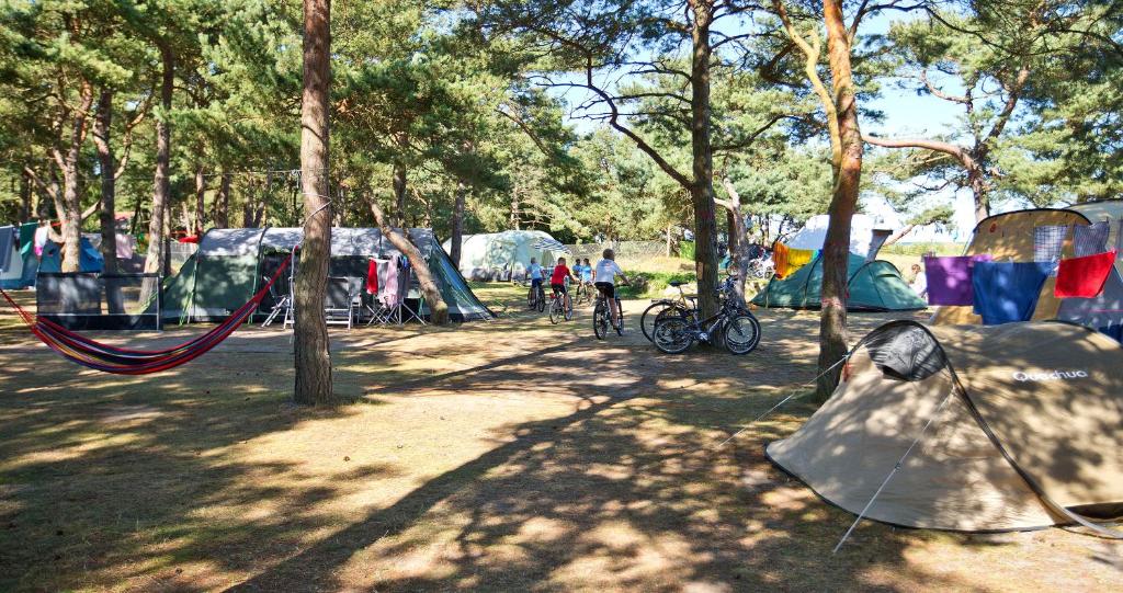 Fotografie z fotogalerie ubytování Dueodde Camping v destinaci Dueodde