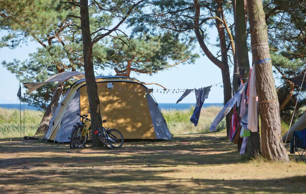 Dueodde Strand Camping, Dueodde – Updated 2023 Prices