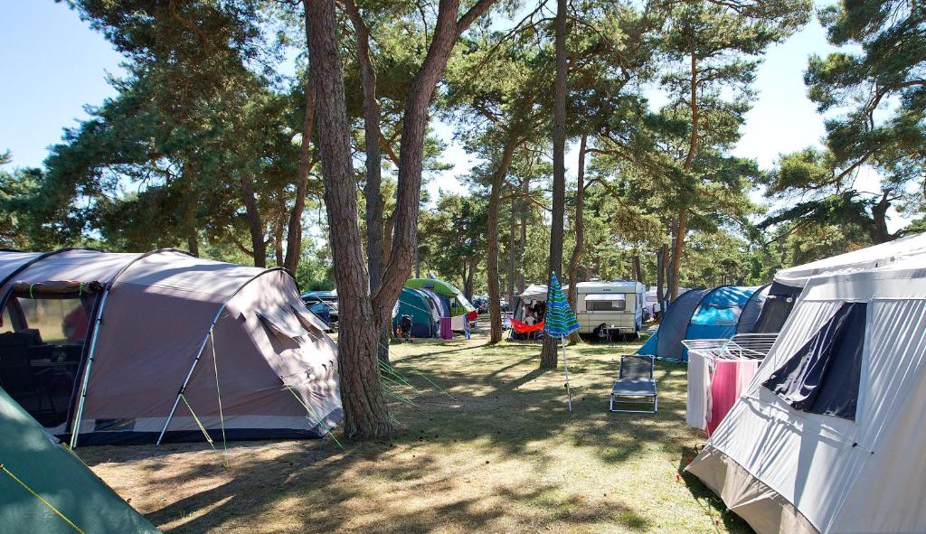 Fotografie z fotogalerie ubytování Dueodde Camping v destinaci Dueodde