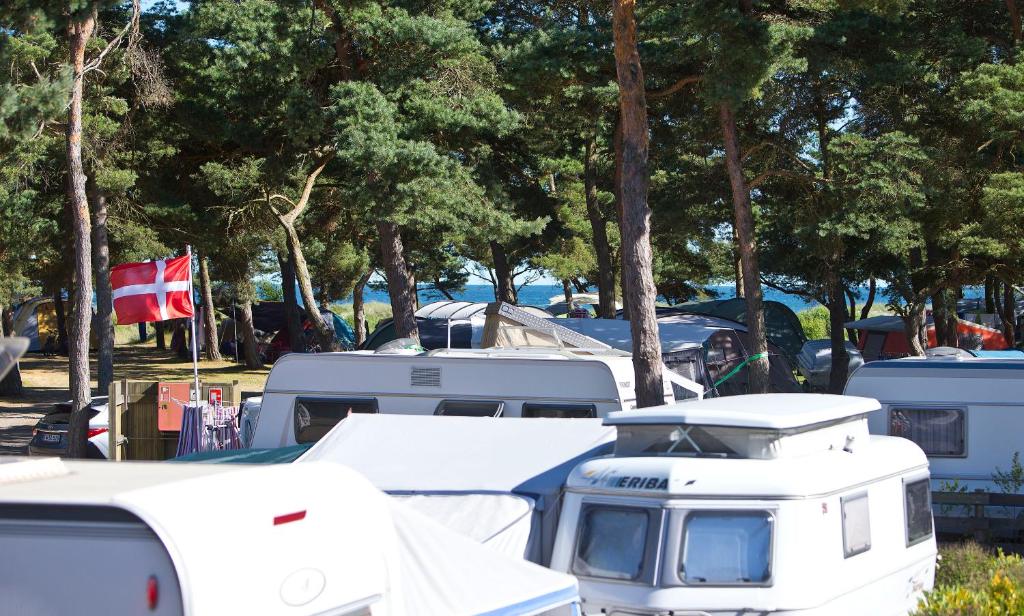 Fotografie z fotogalerie ubytování Dueodde Camping v destinaci Dueodde