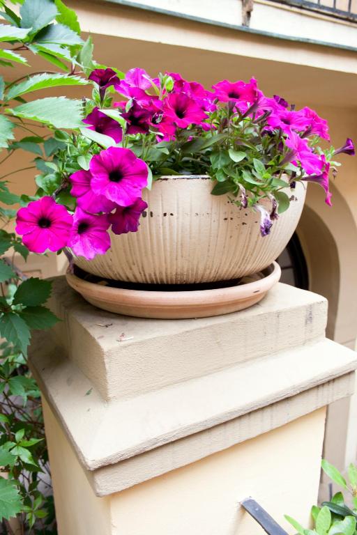 Hotel U Zlateho jelena - Resim 27