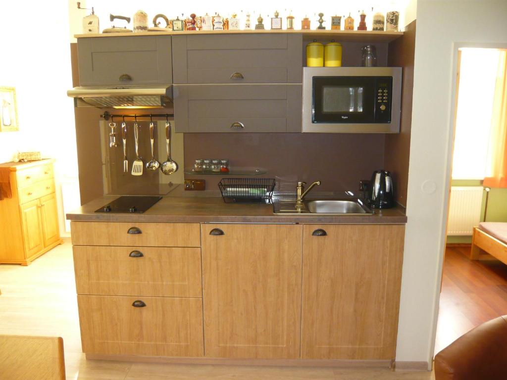 Kuchyň nebo kuchyňský kout v ubytování Apartmány Liška