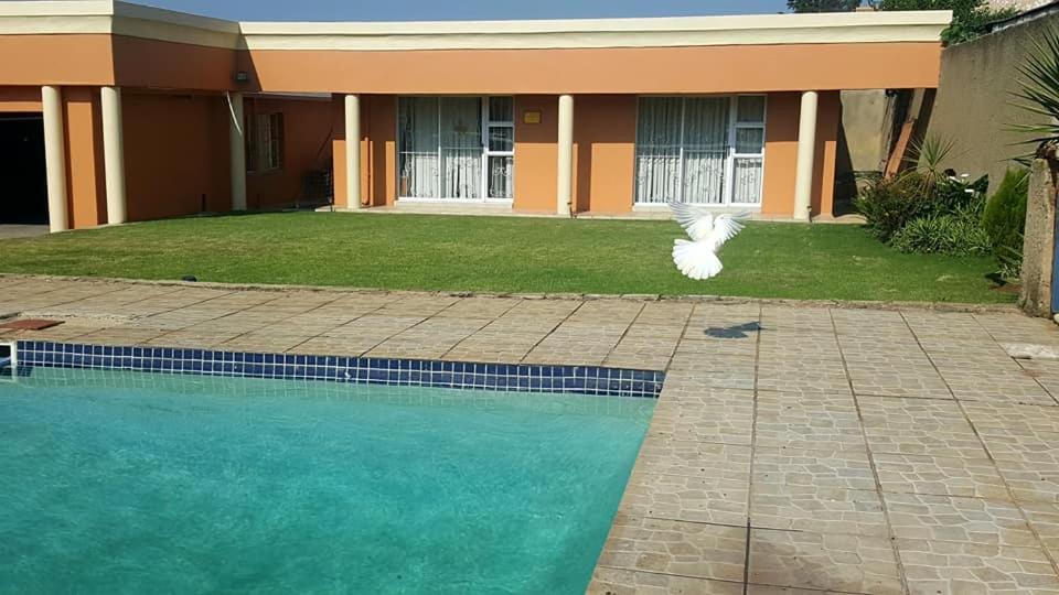 um pássaro a voar sobre uma piscina ao lado de uma casa em SunSet West Self Catering Maraisburg Roodepoort em Joanesburgo