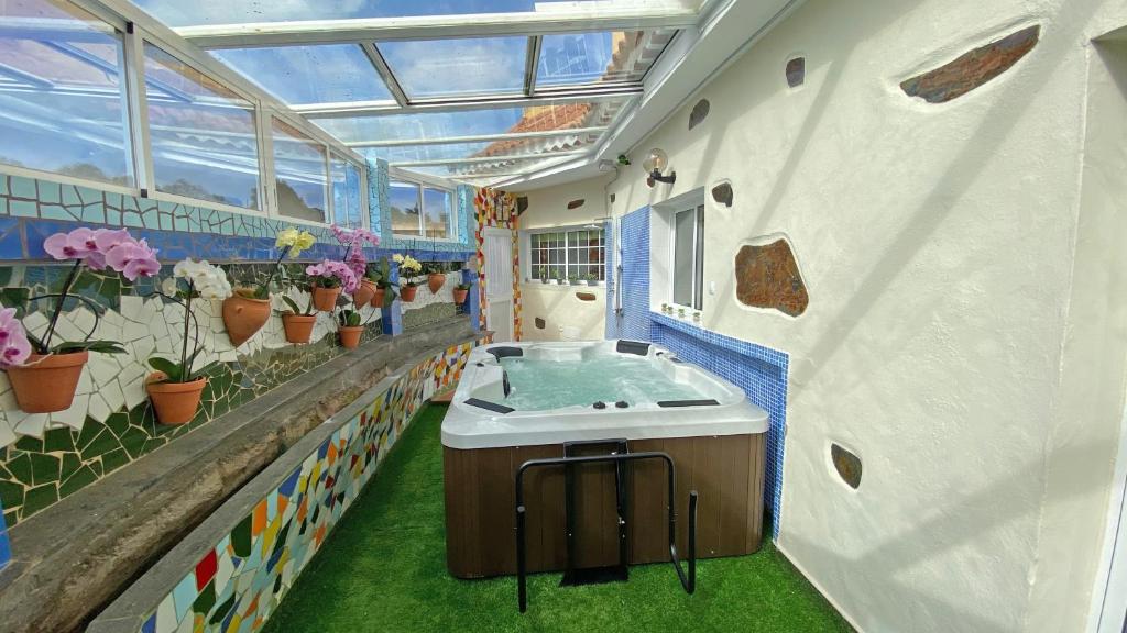 baño con lavabo en una habitación con plantas en La Acequia, en Valleseco