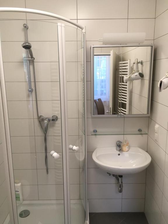 W łazience znajduje się prysznic, umywalka i lustro. w obiekcie AJO Apartments - Alte Donau Terrace Studio - Self-Check-in w Wiedniu