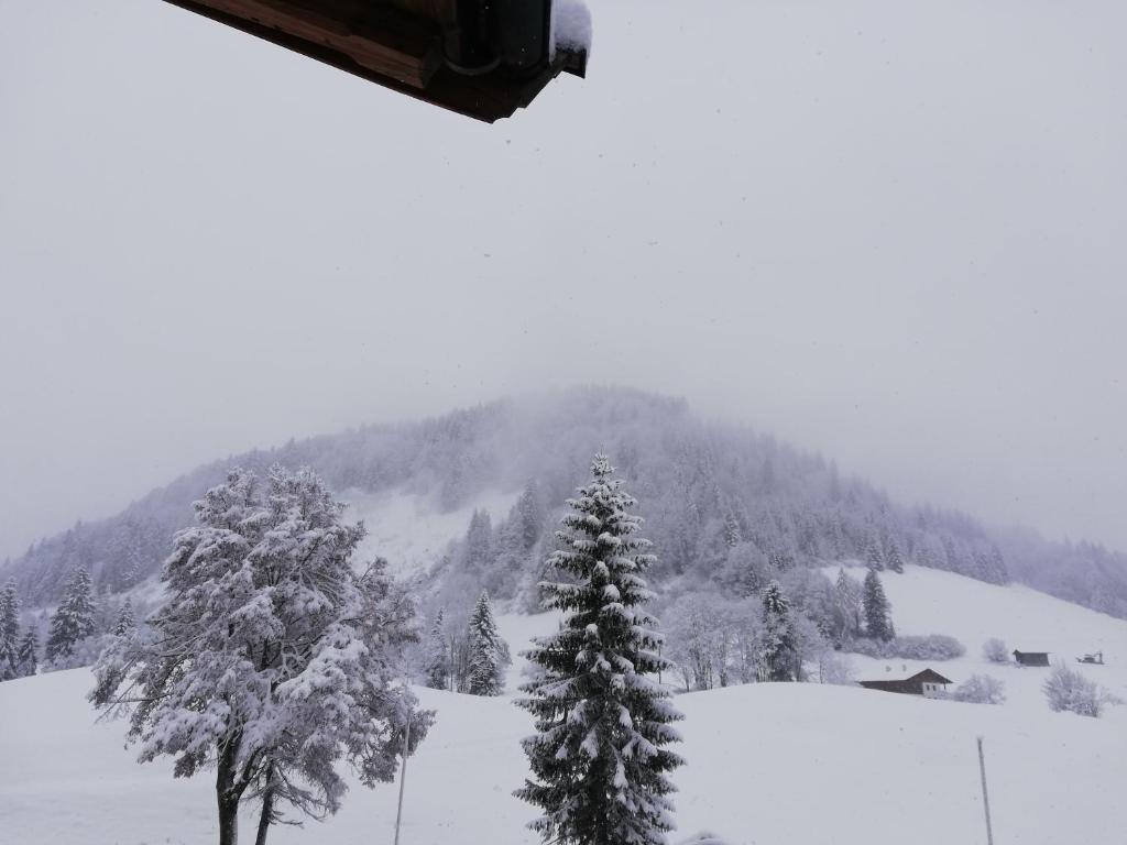 Alpengasthof Almrose im Heutal v zimě