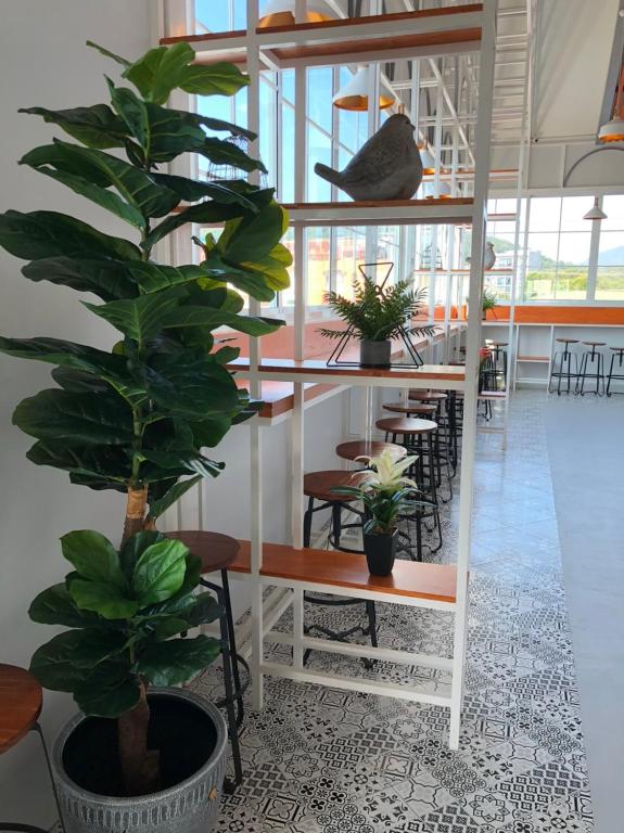 Peranakan House - Resim 14