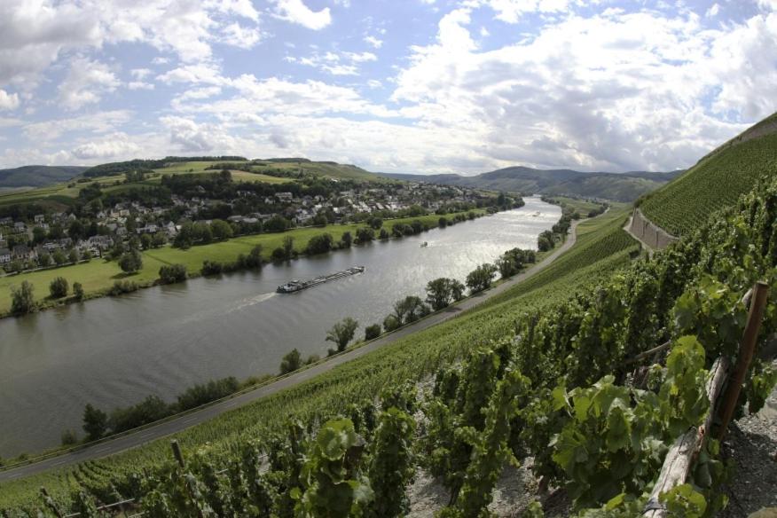 a view of a river with a boat in it at Weingut Fehres in Brauneberg
