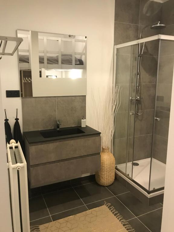 a bathroom with a sink and a shower at Antwerp West Side in Zwijndrecht