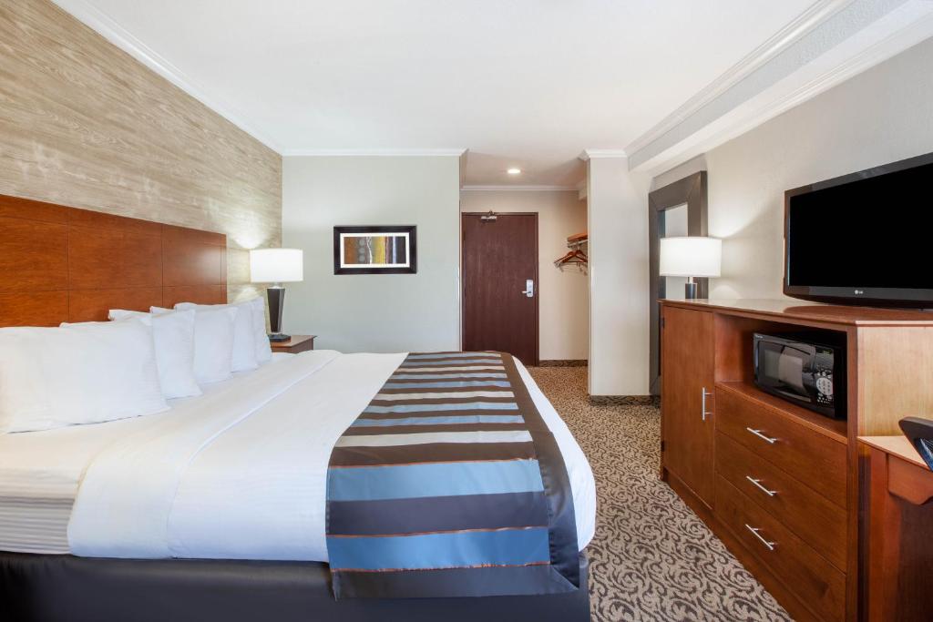 Wingate by Wyndham Detroit Metro Airport - Habitación Con Cama Extragrande - No Fumadores