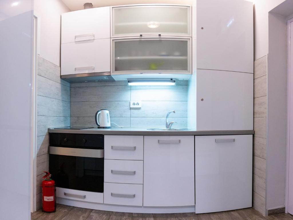 Kuchyň nebo kuchyňský kout v ubytování SPA Apartment Nalis