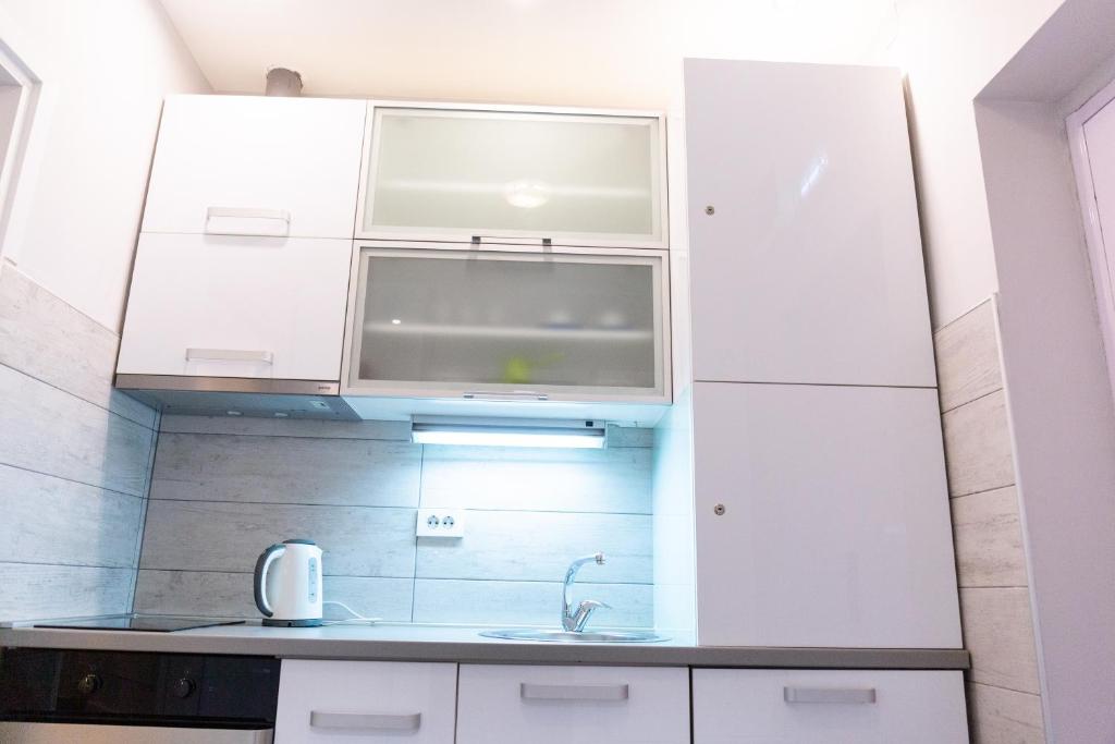 Kuchyň nebo kuchyňský kout v ubytování SPA Apartment Nalis