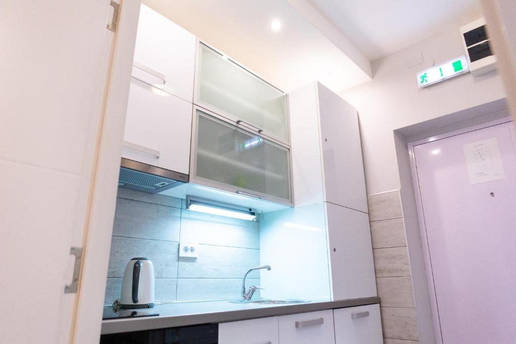 Kuchyň nebo kuchyňský kout v ubytování SPA Apartment Nalis