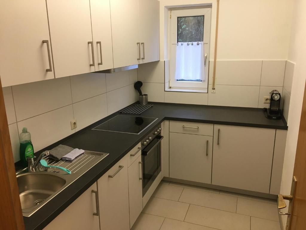 Kuchyň nebo kuchyňský kout v ubytování Apartment Schiller
