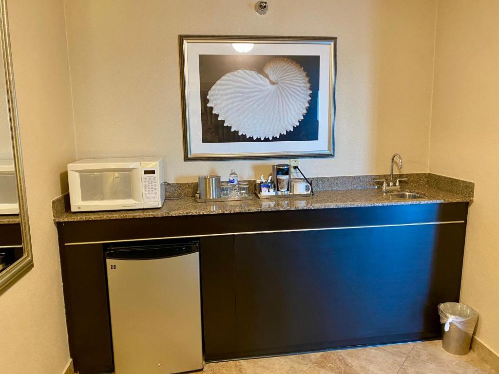 Fotografie z fotogalerie ubytování Radisson Suite Hotel Oceanfront v destinaci Melbourne