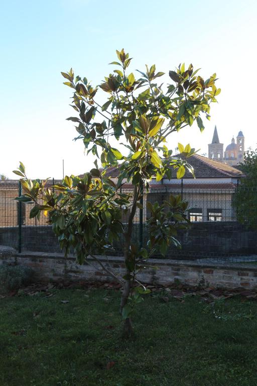 Ogród w obiekcie Appartamento Palazzo Genga