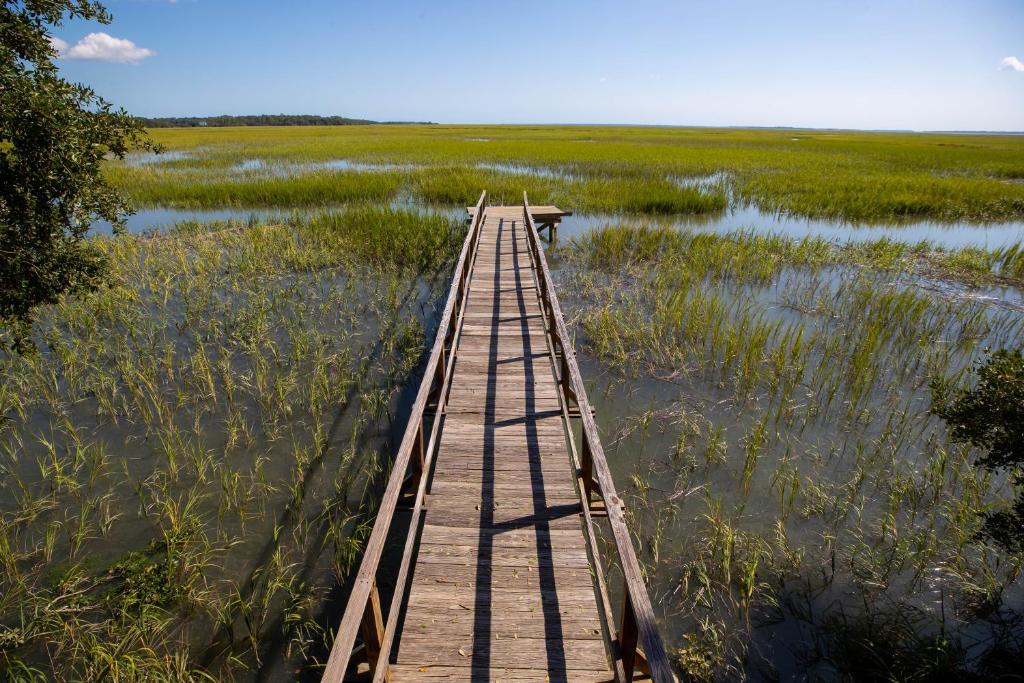 a wooden bridge in the middle of a marsh at C&D Luvmarshview LLC in Beaufort