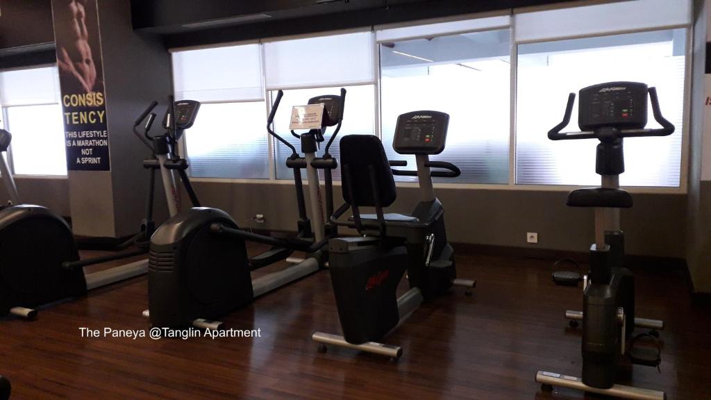 Fitness centrum a/nebo fitness zařízení v ubytování The Paneya @Tanglin Apartment