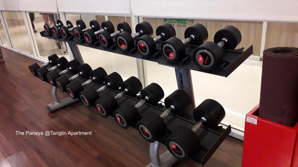 Fitness centrum a/nebo fitness zařízení v ubytování The Paneya @Tanglin Apartment