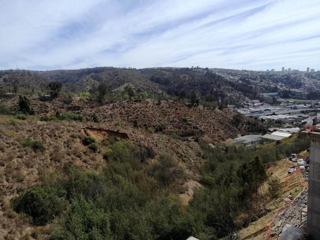 Naturlandskabet i nærheden af lejligheden