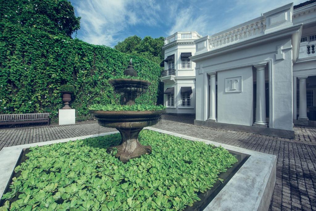 Zahrada ubytování Paradise Road Tintagel Colombo