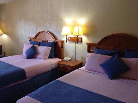 Postel nebo postele na pokoji v ubytování Downtowner Inn and Suites - Houston