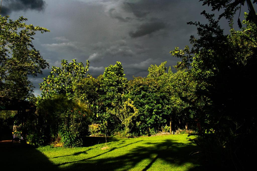 Zahrada ubytování Casa El Cedro
