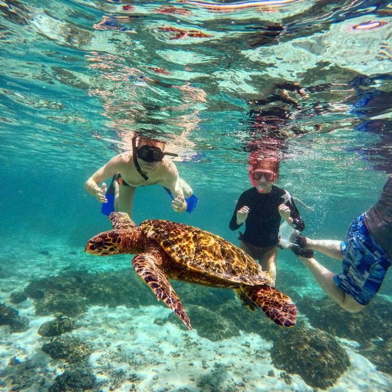 Blue Water Thoddoo Inn - 10