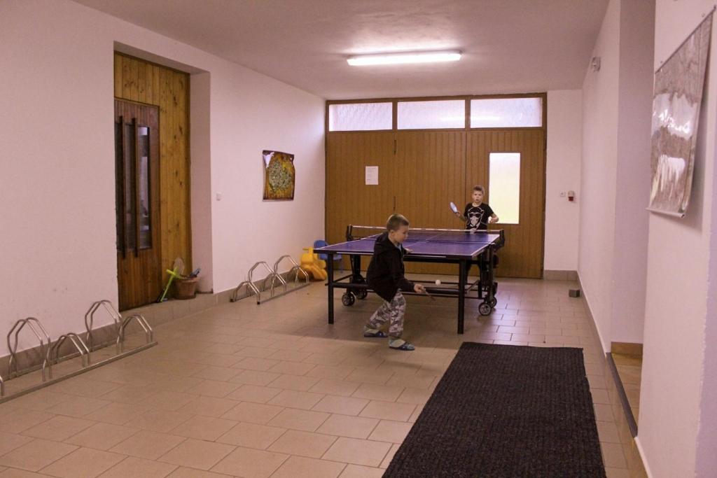 Stolní tenis v ubytování Penzion Na Devitce nebo okolí
