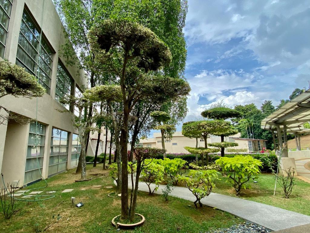Zahrada ubytování PULSE GRANDE Hotel Putrajaya