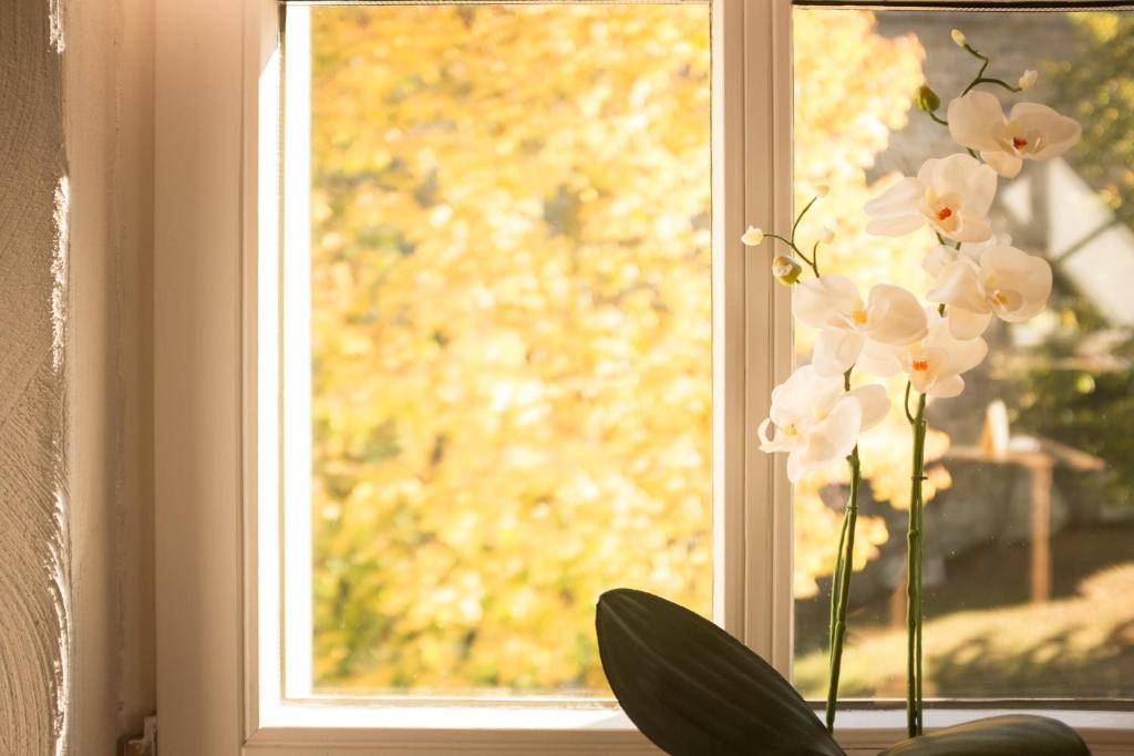 moments café & apartmenthaus - Monolocale Con Vista Lago