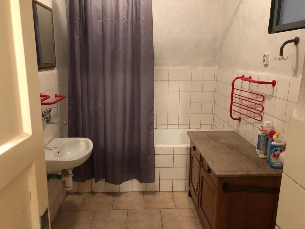 łazienka z zasłoną prysznicową i umywalką w obiekcie Apartmán Bohéma w mieście Kouřim