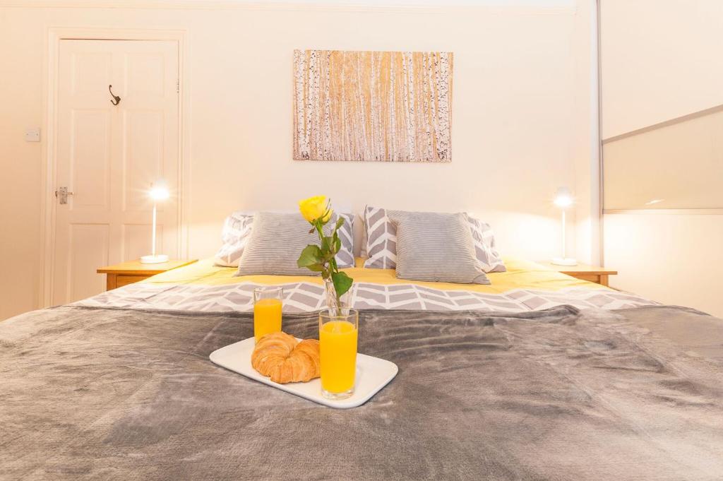 Radford Place - Central Exeter - Patio & Garden - Beach - Chiefs - Uni -WiFi - Holiday Home