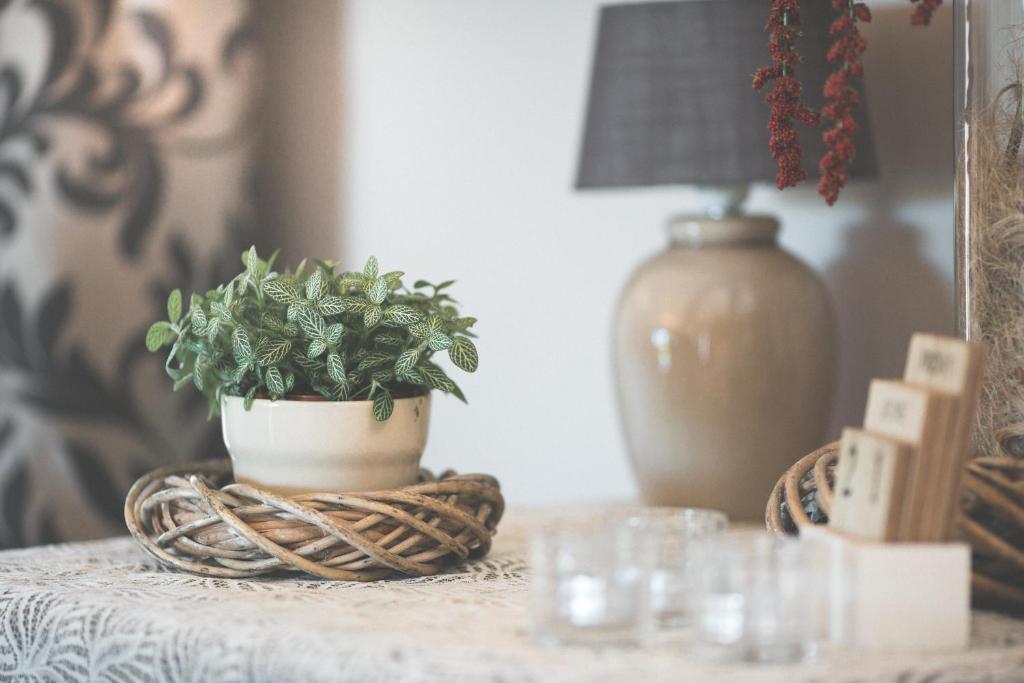 Fotografie z fotogalerie ubytování B&B Nieuwhof v destinaci Gistel