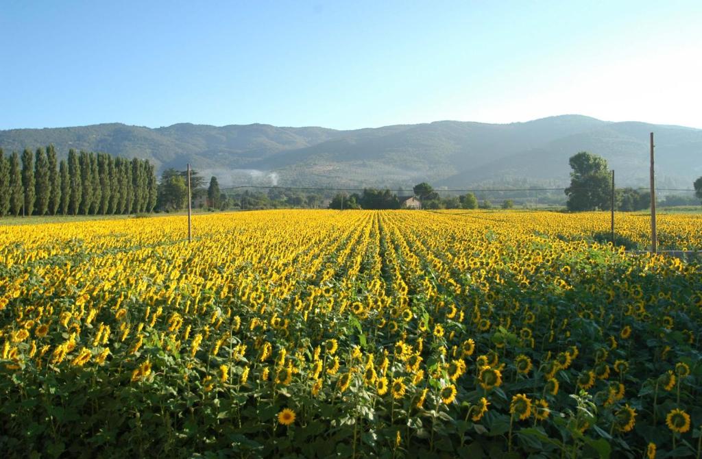 Holiday Home Il Moro Novo - Ferienhaus