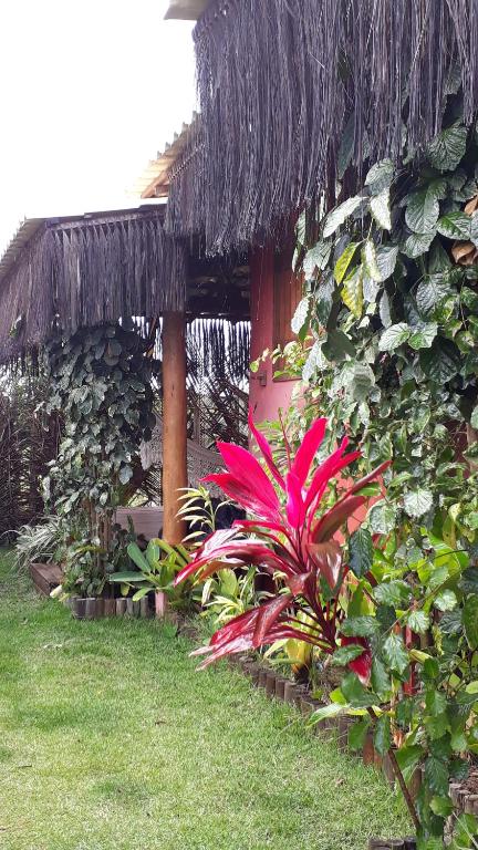  Casas Belas de Taipu