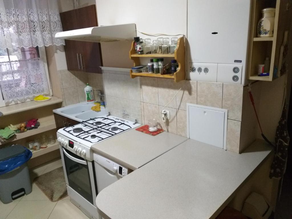 Kuchyňa alebo kuchynka v ubytovaní Agroturystyka Czerwone Maki 2 Łazienki 5 Pokoi Kuchnia - NoclegiGrodziskPL 792-535-535